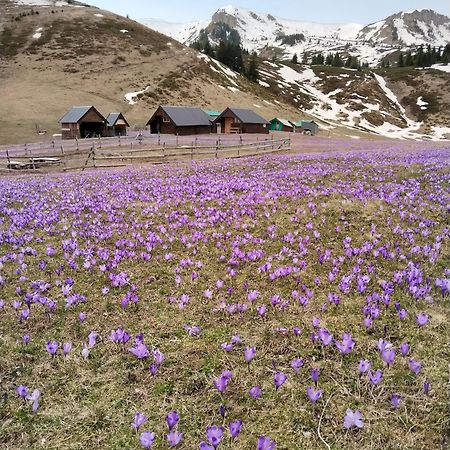 베라네 Katun Siska Medna Dolina 빌라 외부 사진