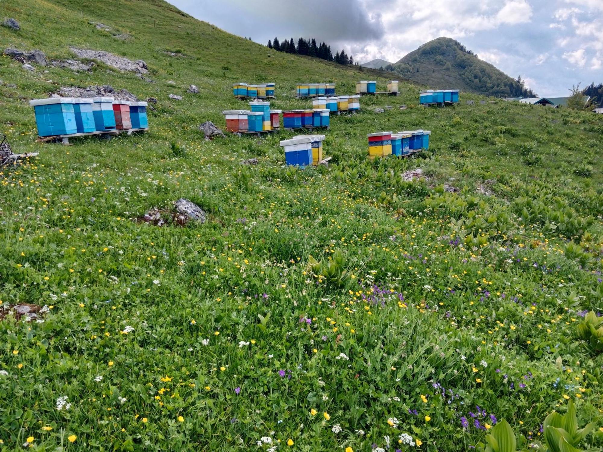 베라네 Katun Siska Medna Dolina 빌라 외부 사진