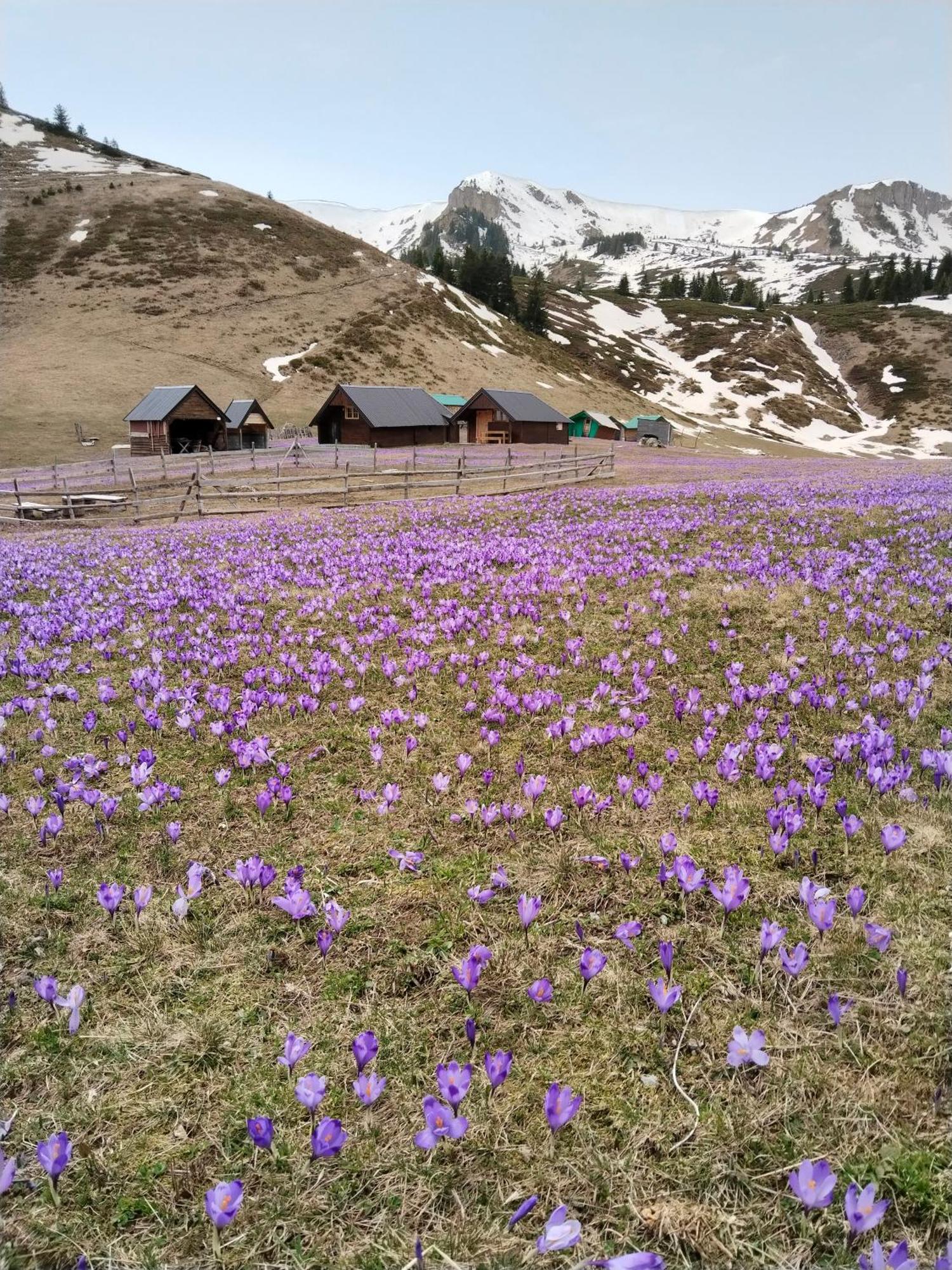 베라네 Katun Siska Medna Dolina 빌라 외부 사진
